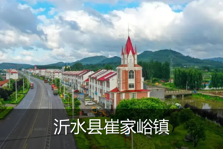 沂水县崔家峪镇