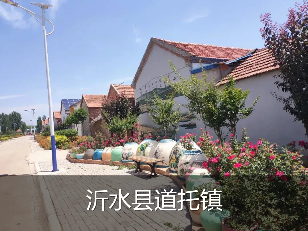 沂水县道托镇
