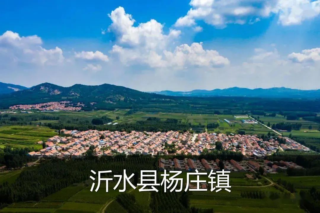 沂水县杨庄镇